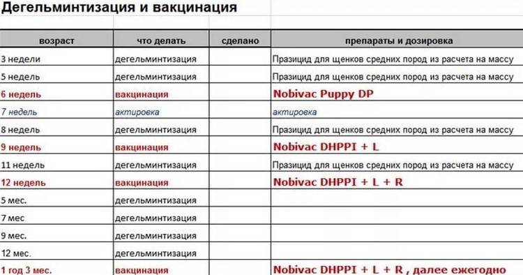Правила поведения после вакцинации пентаксимом: можно ли гулять с ребенком на улице после прививки?
