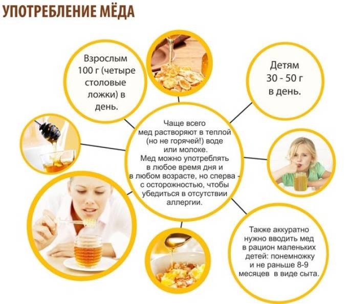 Можно ли грудничку давать мед, польза и противопоказания для новорожденного