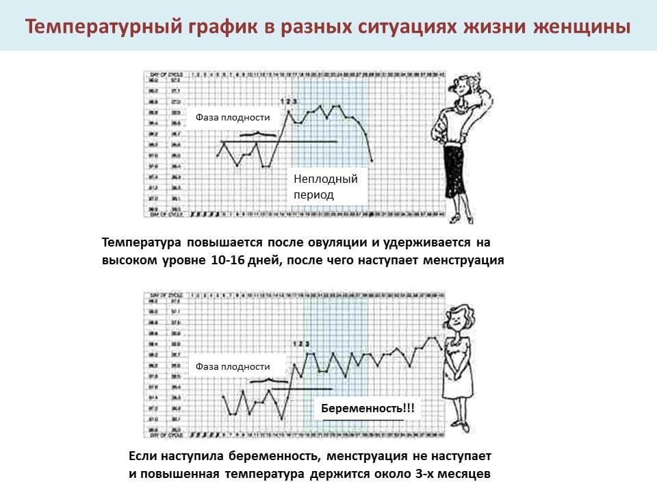 1 триместр беременности: признаки, анализы, токсикоз, что можно и что нельзя