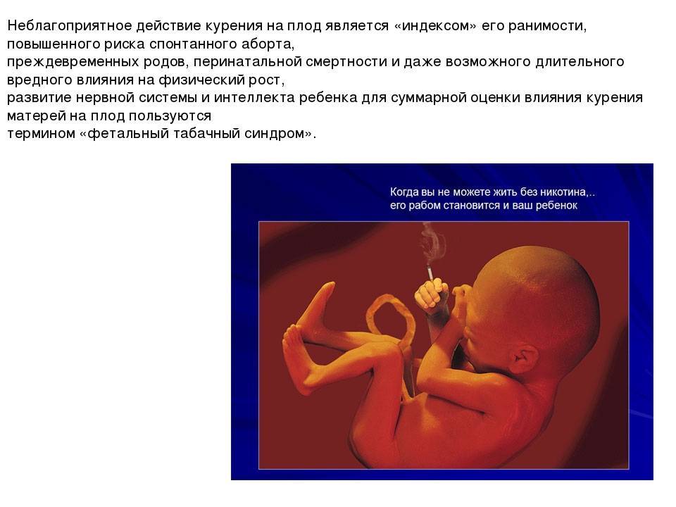 Тонкости эко: как бесплодные пары могут стать родителями - vtomske.ru