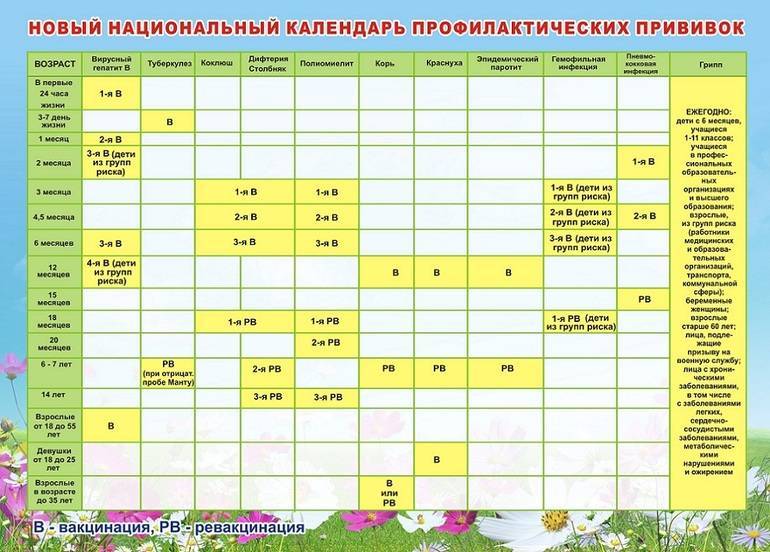 Календарь прививок для детей до 1 года в россии: сроки и особенности вакцинации