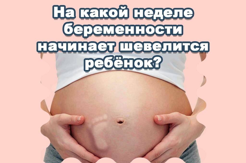 Когда ребенок начинает толкаться в животе при первой беременности