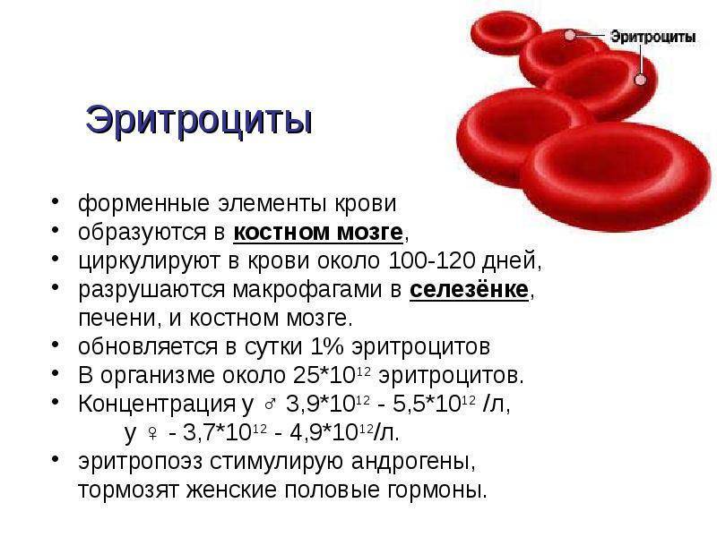 Гемоглобин у детей: нормы в крови и профилактика и признаки анемии