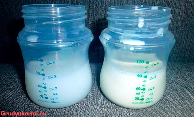 Как повысить жирность грудного молока: что есть, чтобы молоко было жирнее. как повысить жирность грудного молока народными средствами