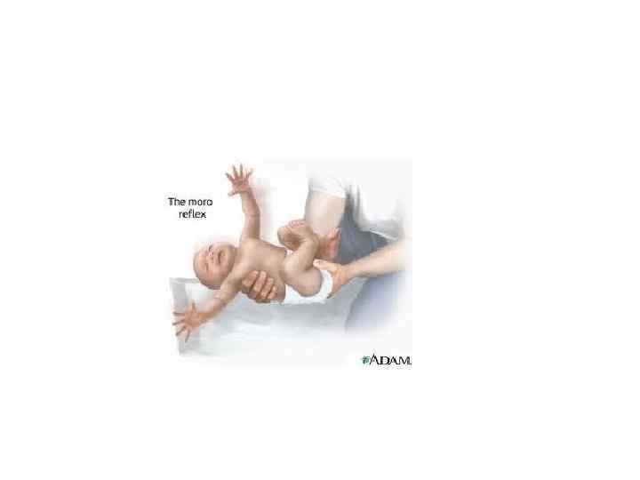 Врождённые физиологические рефлексы