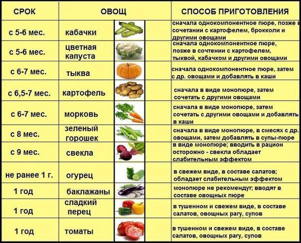 Болгарский перец при грудном вскармливании: можно ли употреблять кормящей маме зеленый и красный овощ в первый месяц гв