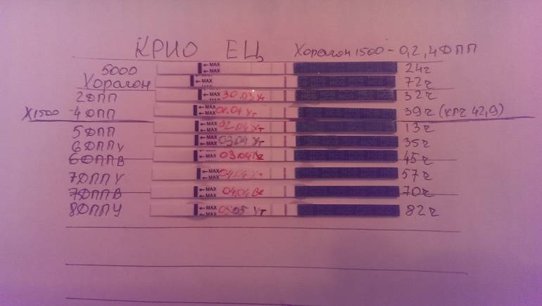 Тест на беременность перенос 5 дневки