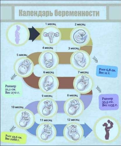 Третий триместр беременности: как организм женщины меняется и готовится к родам