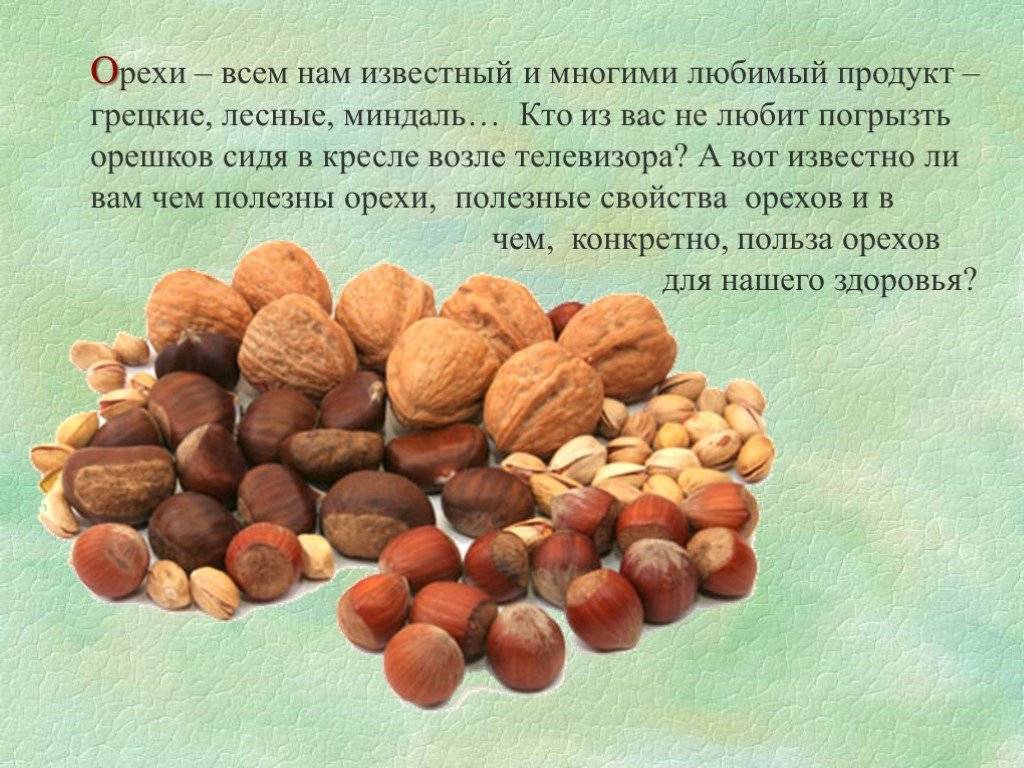 С какого возраста можно давать орехи?