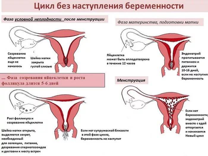 Особенности беременности после кесарева сечения