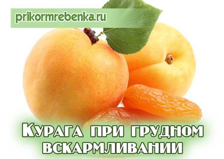 Сливы яблоки персики для кормящих