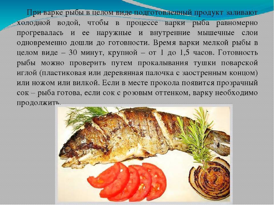 Какая рыба полезна для детей и как ее готовить?