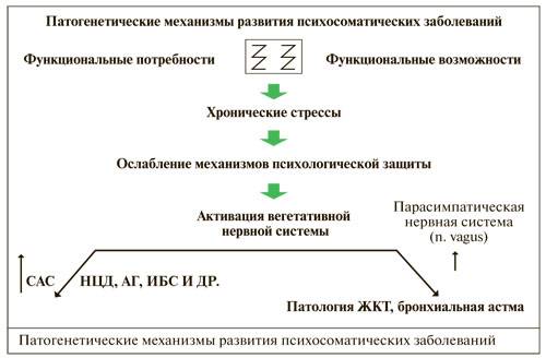 Возникновения психосоматических заболеваний. Механизм развития психосоматических заболеваний. Механизм развития основных органических психосоматических болезней. Механизмы формирования психосоматических расстройств. Схема развития психосоматического заболевания.