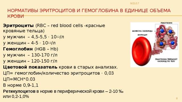Расшифровка анализа крови таблица расшифровки анализов медицинских | лабтест спб