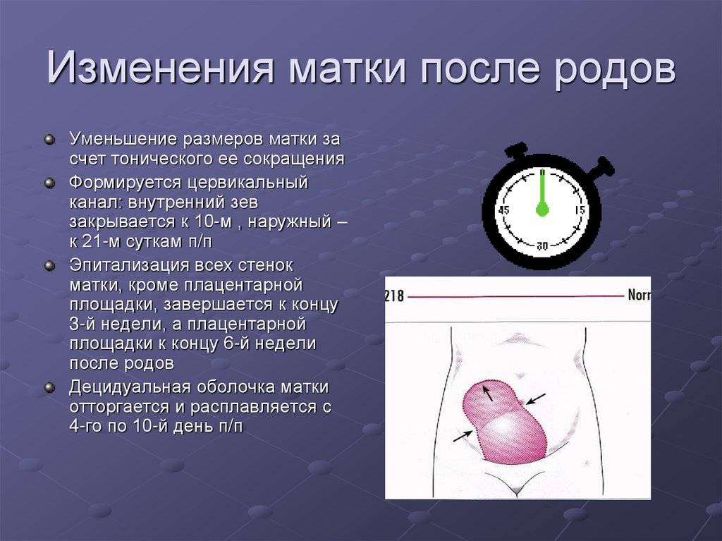 Субинволюция матки: почему не сокращается матка и чем это опасно * клиника диана в санкт-петербурге