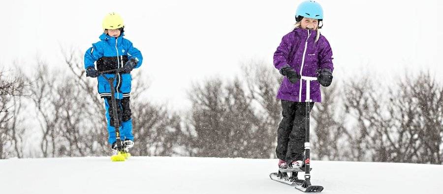 Зимний самокат: выбираем детские снегокаты 2 в 1 на лыжах для зимы и универсальные модели с колесами для снега