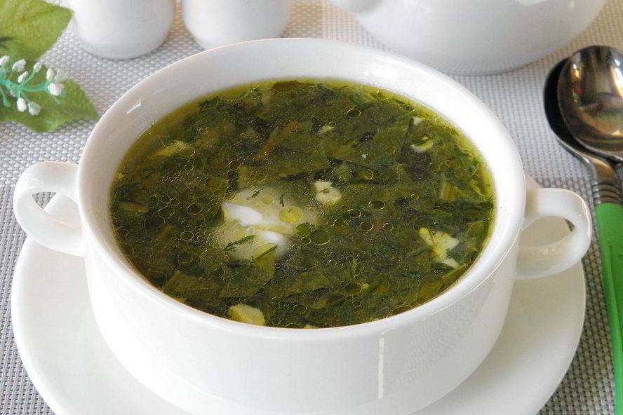 Можно ли кушать щавелевый суп при грудном вскармливании