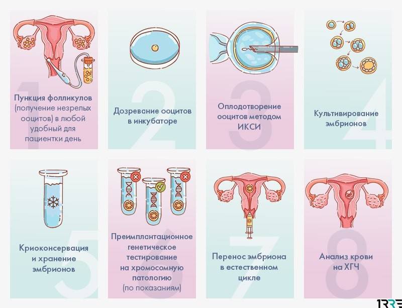 Вспомогательные репродуктивные технологии (врт)