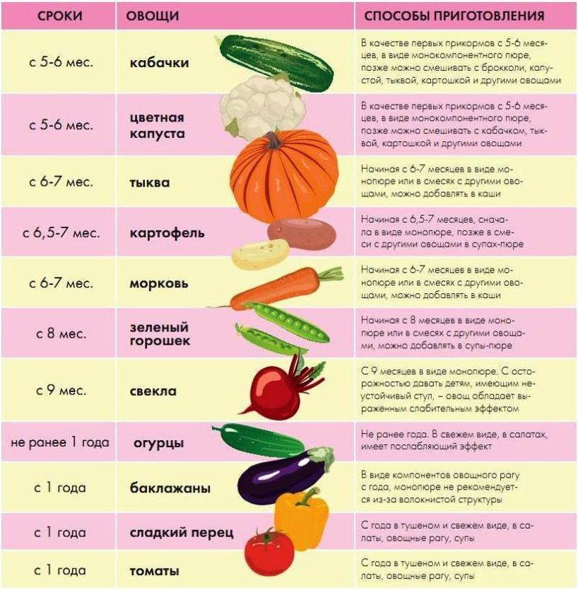 Прикорм цветной капустой: как приготовить и когда вводить?