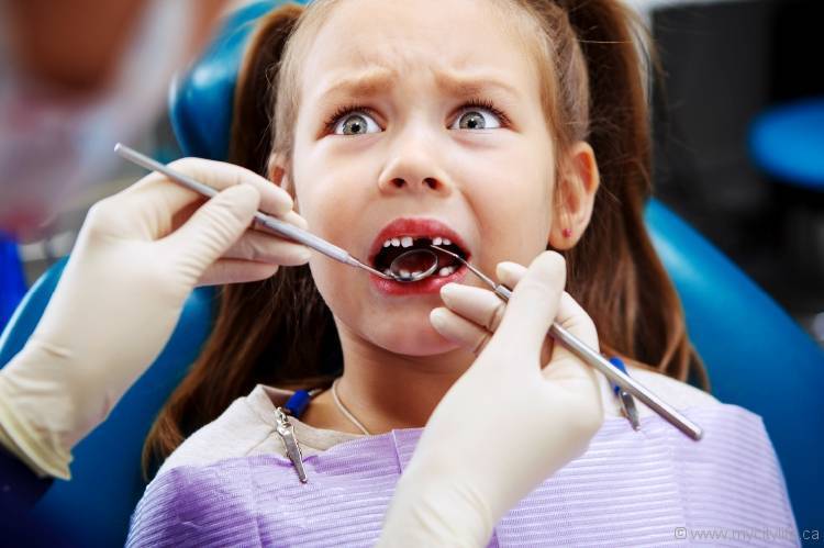 Как уговорить ребенка лечить зубы: советы психолога для родителей - цветы жизни