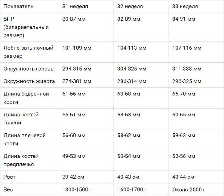 33 неделя размеры