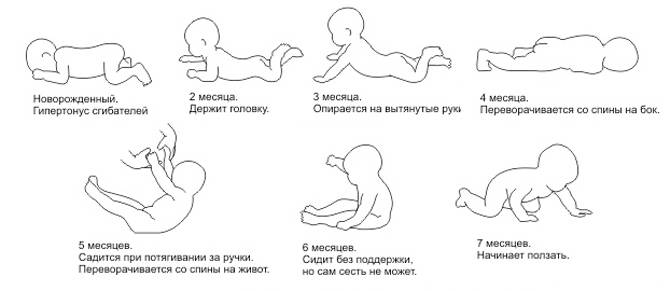Ребенок лежит на животе 2 месяца. Упражнения для ползания ребенка 4 месяца. Когда ребенокнпчмнает держать голову. Когда ребенок начинает держать голов. Когдапебенок начинает держать голову.
