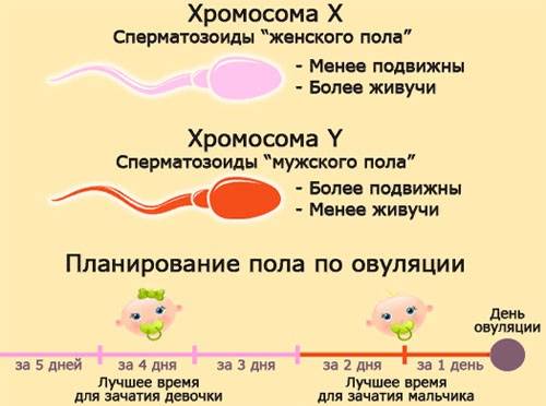 Гинеколог понятно объясняет, как на зачатие могут повлиять ковид, частая смена партнеров и возраст