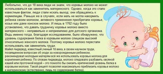 Как выкормить крольчат без крольчихи, сколько раз кормить и каким молоком - kotiko.ru
