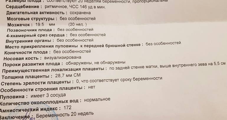 Толщина плаценты по неделям