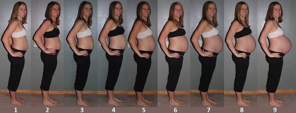 Пятый месяц беременности (17 фото): развитие плода и ощущения беременной, размер живота и как он выглядит
