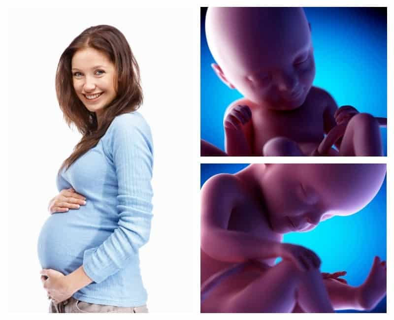 8 месяц беременности – что происходит с малышом, живот на восьмом месяце беременности, с какой недели начинается – agulife.ru - agulife.ru