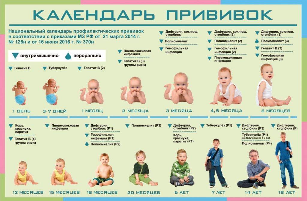 Список вакцинаций для детей от 3-х месяцев