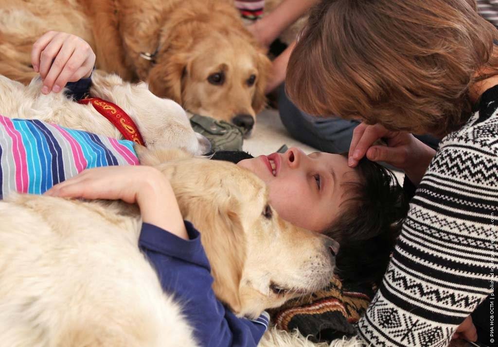 Особый ребенок и собаки. репортаж из центра канис-терапии (+фото) | православие и мир