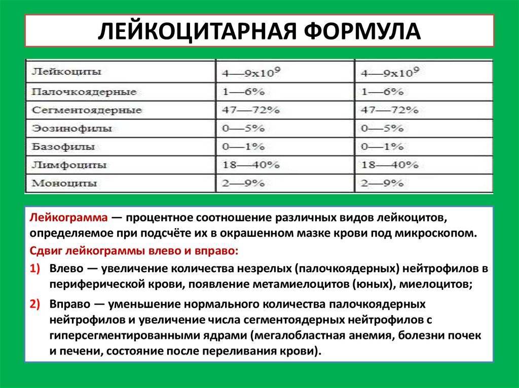 Лейкоцитарная формула крови: расшифровка у детей