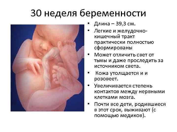 20 недель беременности: размер плода и его развитие, что происходит с малышом и будущей мамой