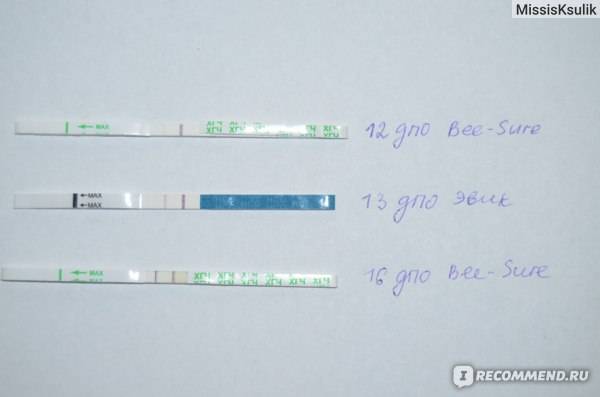 Признаки беременности на ранних сроках. как определить беременность без теста