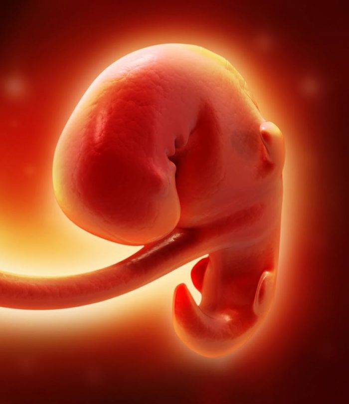 Замершая беременность: причины и признаки деликатной проблемы