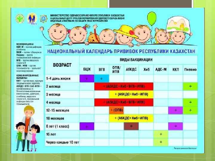Календарь прививок для детей в россии 2019 год