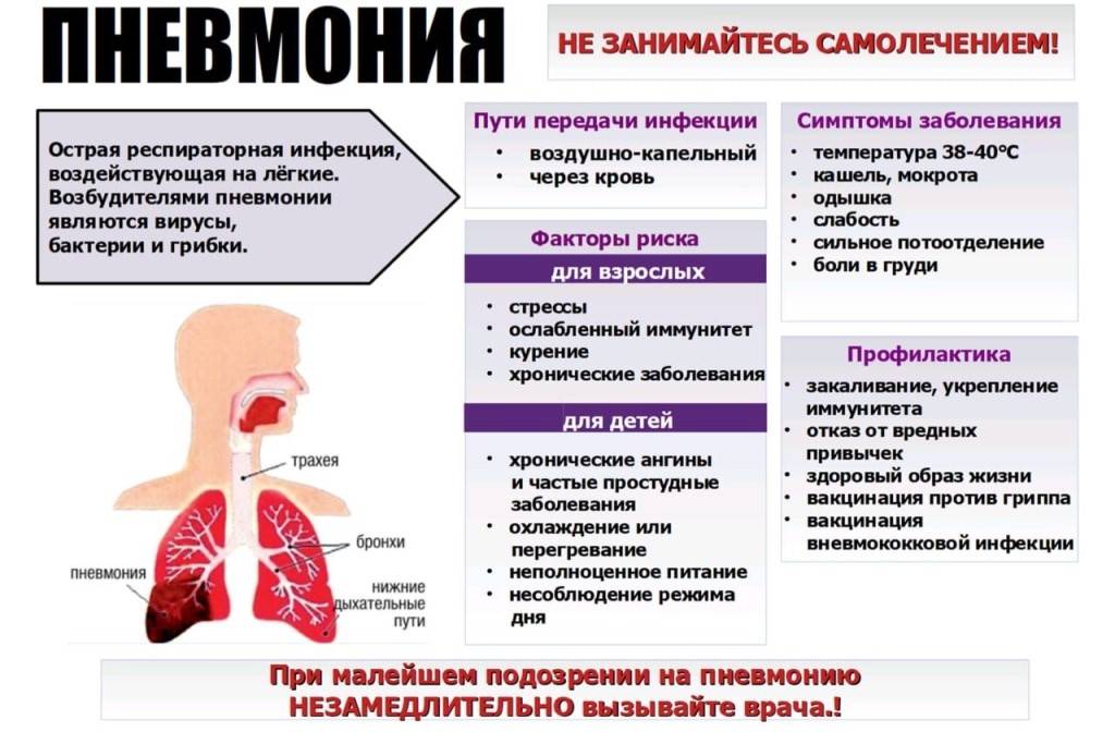 Очаговая пневмония у детей - симптомы болезни, профилактика и лечение очаговой пневмонии у детей, причины заболевания и его диагностика на eurolab