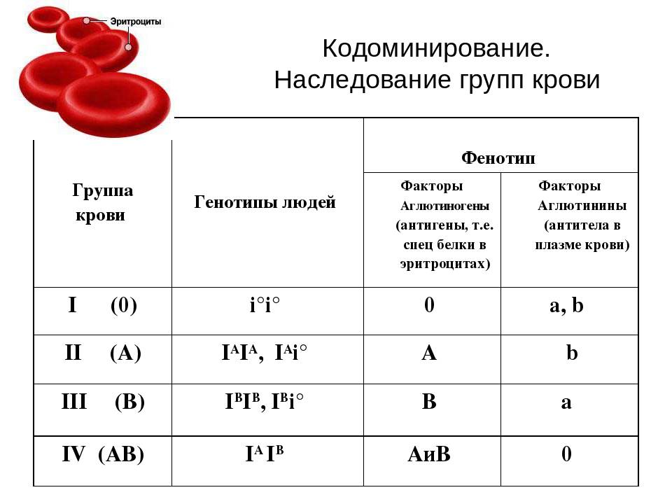 Почему у некоторых детей группа крови отличается от группы крови родителей