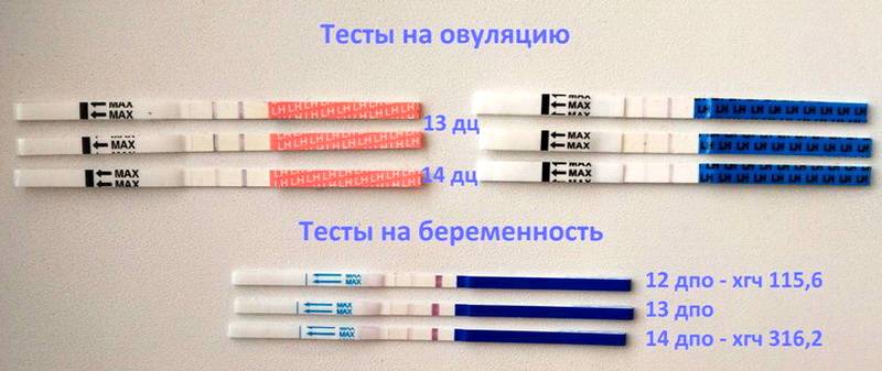 ᐉ можно ли проверить тест. можно ли ночью проводить тесты на беременность - ➡ sp-kupavna.ru