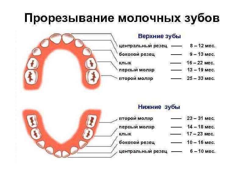 Симптомы и признаки прорезывания зубов у детей
