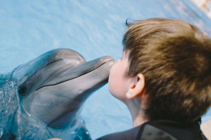 Дельфинотерапия для аутистов