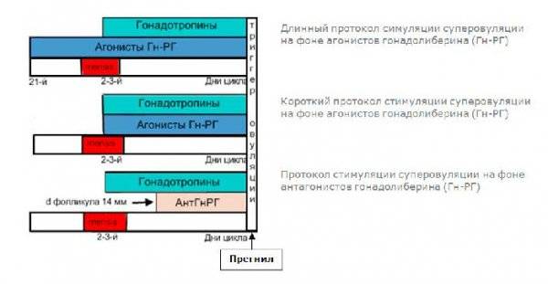 Что такое короткий протокол эко?