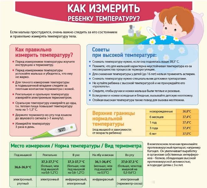 Температура при пневмонии: характеристики и особенности течения. диагностика и лечение пневмонии в москве