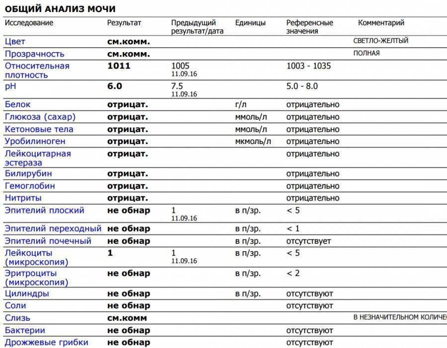 Анализ мочи — диагностика с максимальной результативностью * клиника диана в санкт-петербурге
