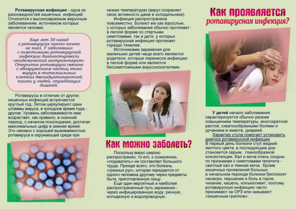 Норовирус (норовирусная инфекция): симптомы и лечение – напоправку – напоправку
