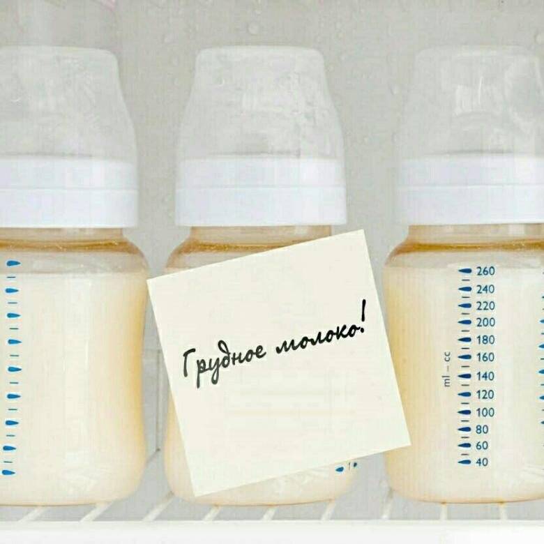 Как хранить сцеженное грудное молоко - wikihow
