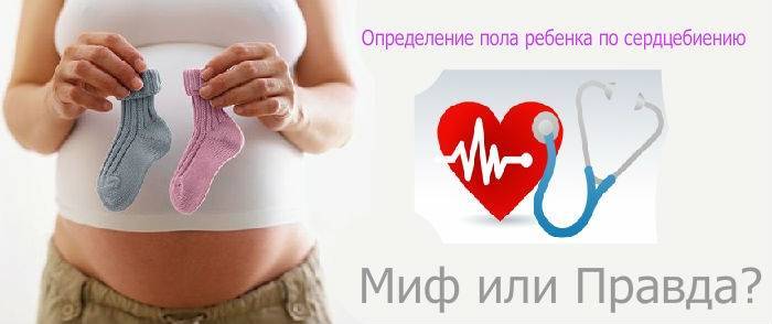 Можно ли узнать пол ребенка по сердцебиению — сердце