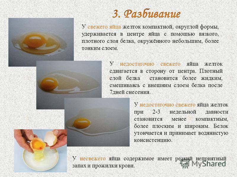 С какого возраста можно давать ребенку омлет — особенности, рекомендации и рецепты